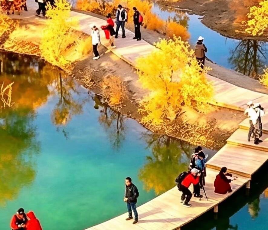 秋间拾心 （文／三阳）（图2）