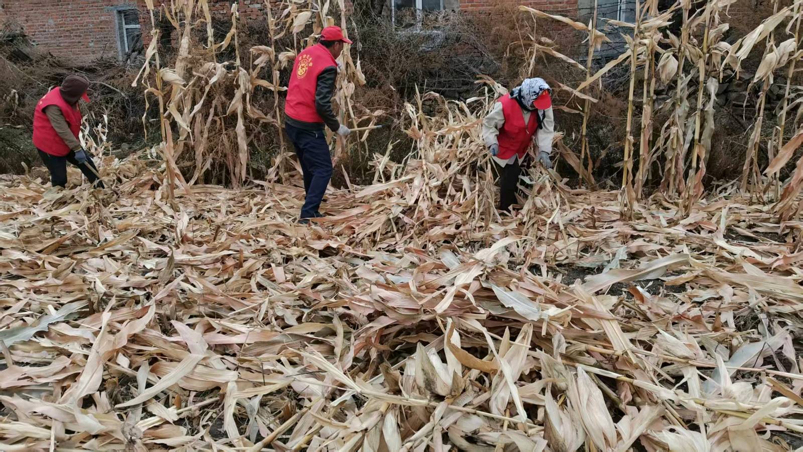 助老纾困暖民心 志愿服务显担当（图3）