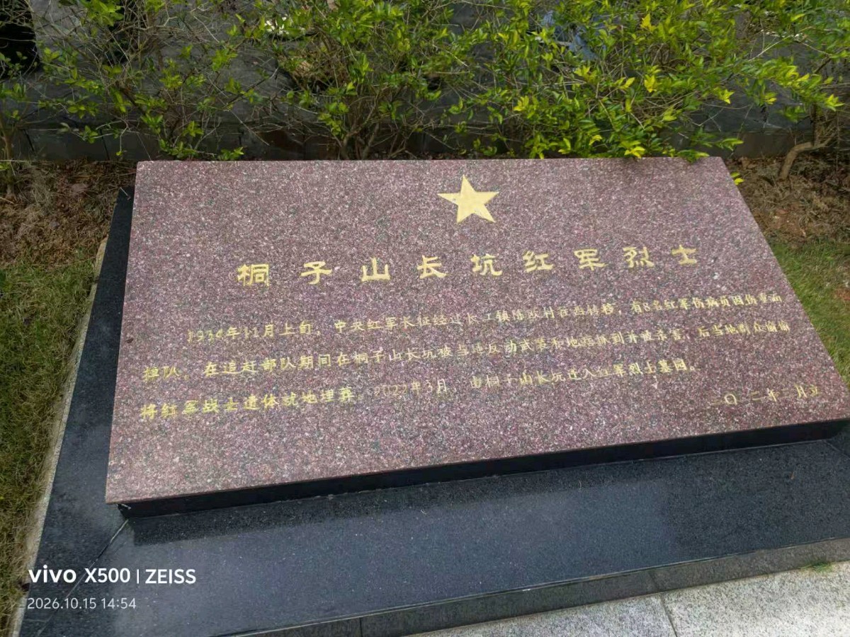 铜鼓岭下听回响——广东省“弘扬长征精神·促进乡村振兴”采风公益活动侧记(图4)