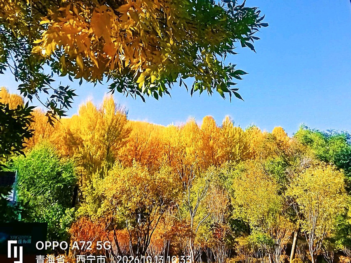 【诗词文旅】登西山观秋景七绝随吟 作者：李元玺（青海西宁）（图3）