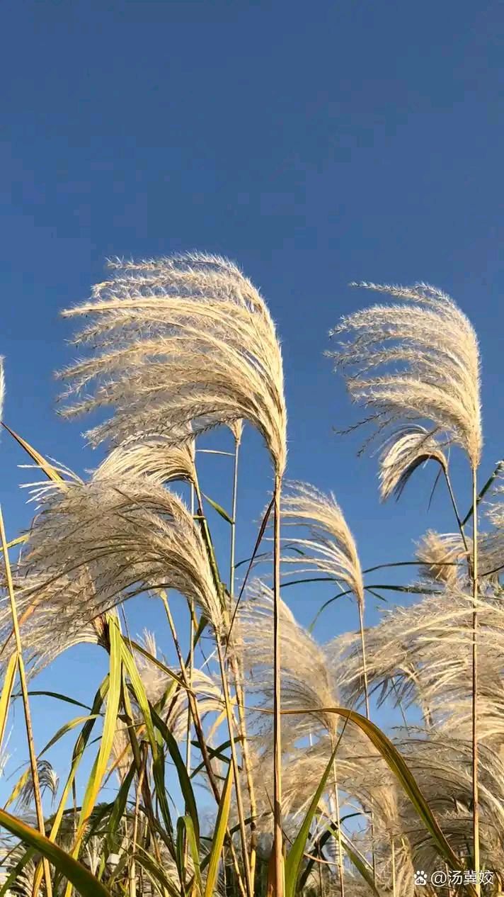 雨的季节：秋之韵