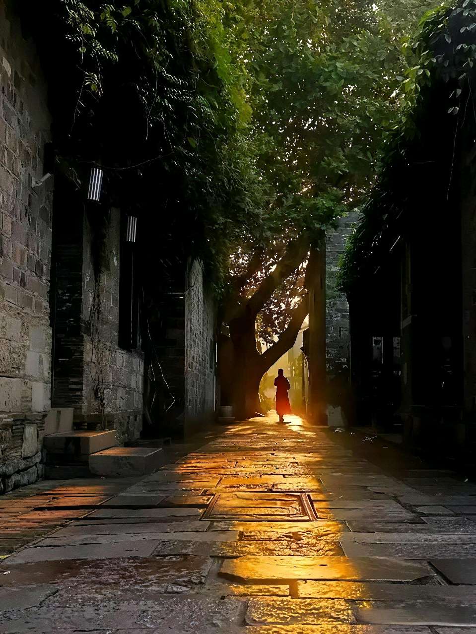 十月 作者：汀岸 诵读：鲁人（图7）