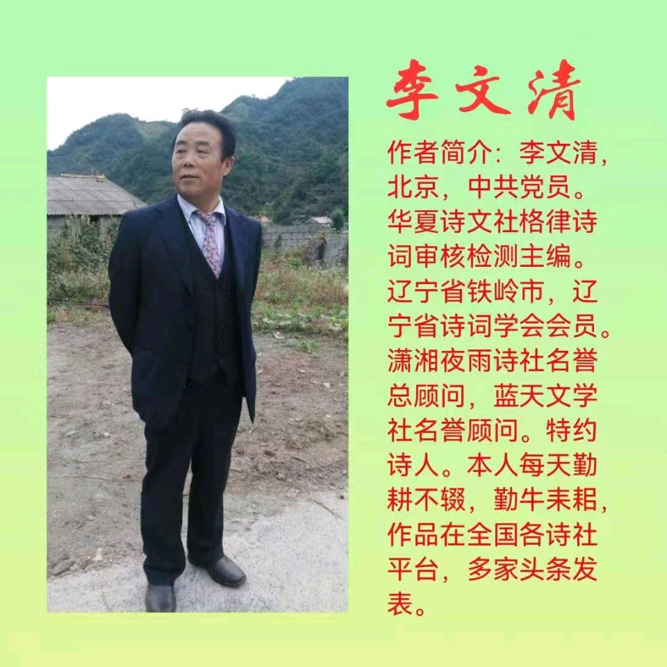 九好重阳菊正艳//作者//李文清（北京）（图6）