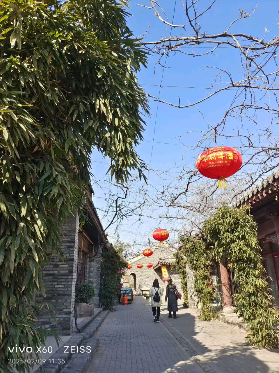 【荣耀中国】钗头凤 花灯耀黄小财 湖南桂阳（图5）