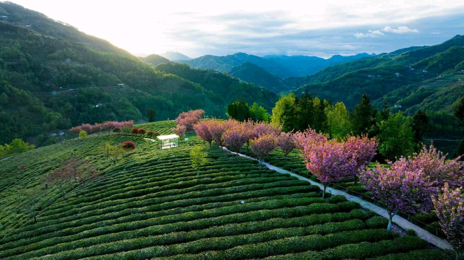 【荣耀中国】钗头凤 花灯耀黄小财 湖南桂阳（图9）