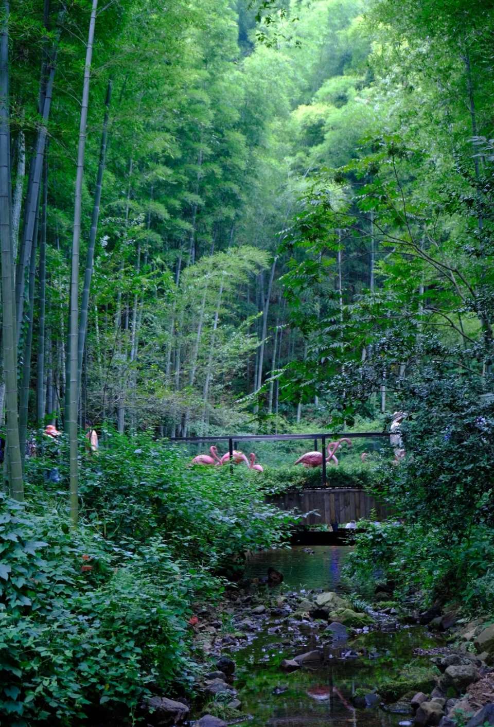【老丫文苑】豫南杨//夏夜归途//（北京）（图5）