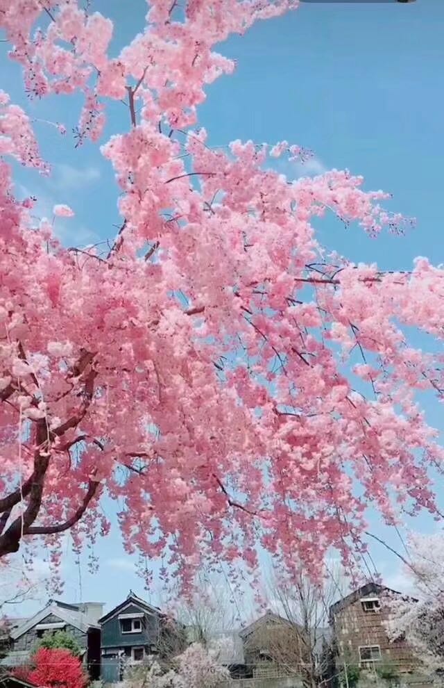 寰俊鍥剧墖_20180511135225.jpg