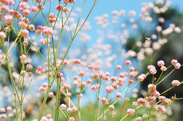 2012072514041478059.jpg