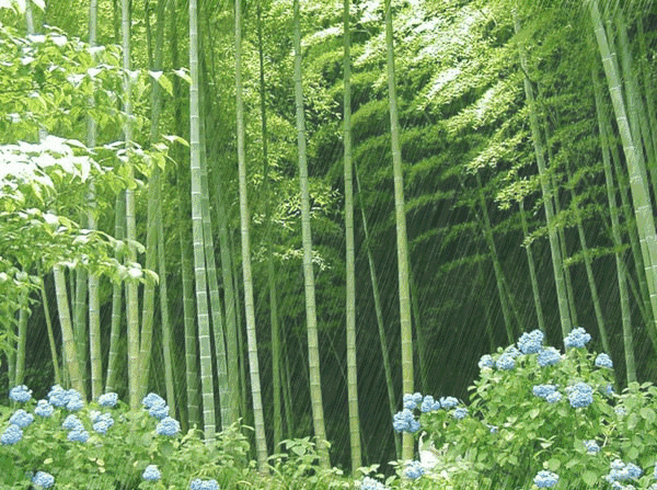 1527952901159067617.gif 寰俊鍥剧墖_20180602232000.gif