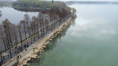 1528093164717002161.gif 寰俊鍥剧墖_20180604141845.gif