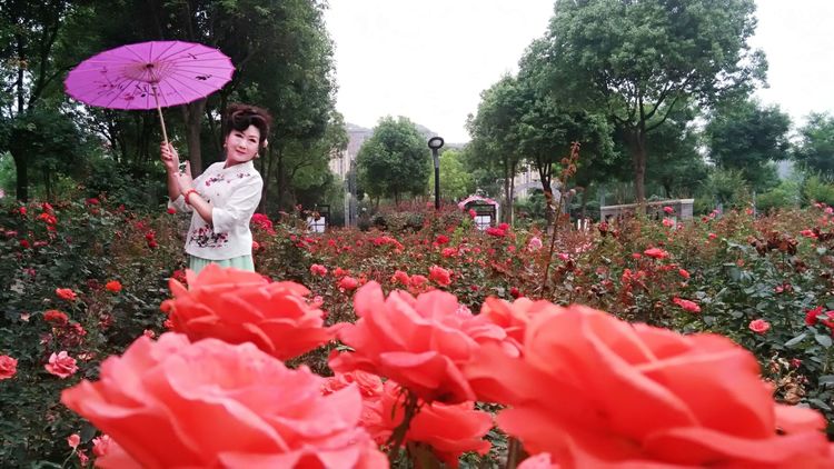 熏风软步访鸥沙（图5）