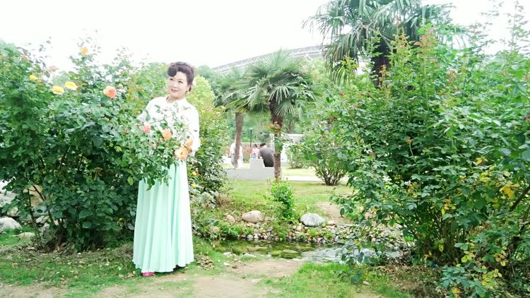 熏风软步访鸥沙（图17）