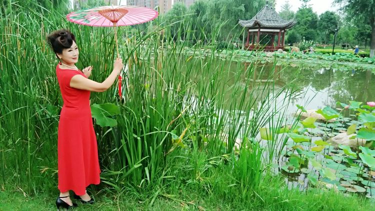 熏风软步访鸥沙（图20）