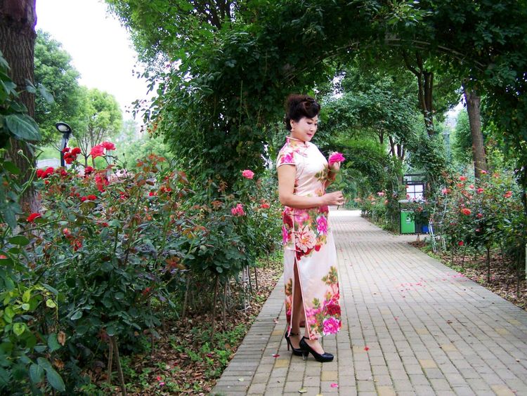 熏风软步访鸥沙（图21）