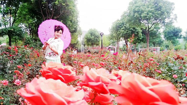 熏风软步访鸥沙（图33）