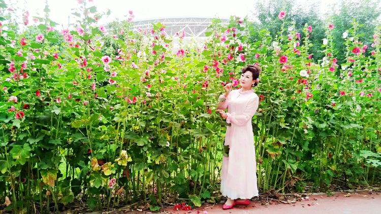 熏风软步访鸥沙（图51）