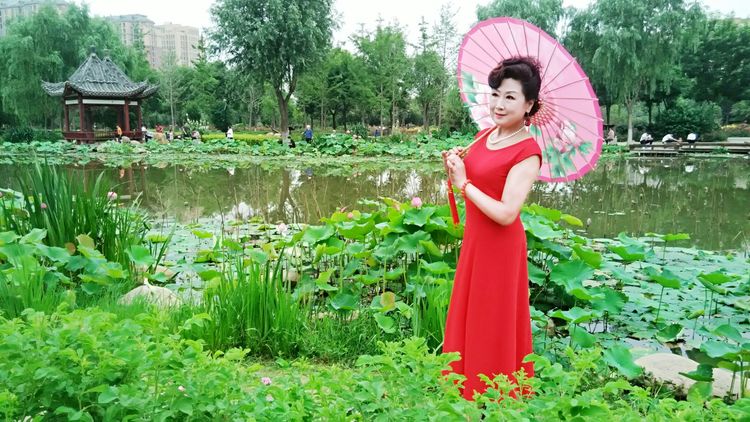 熏风软步访鸥沙（图54）
