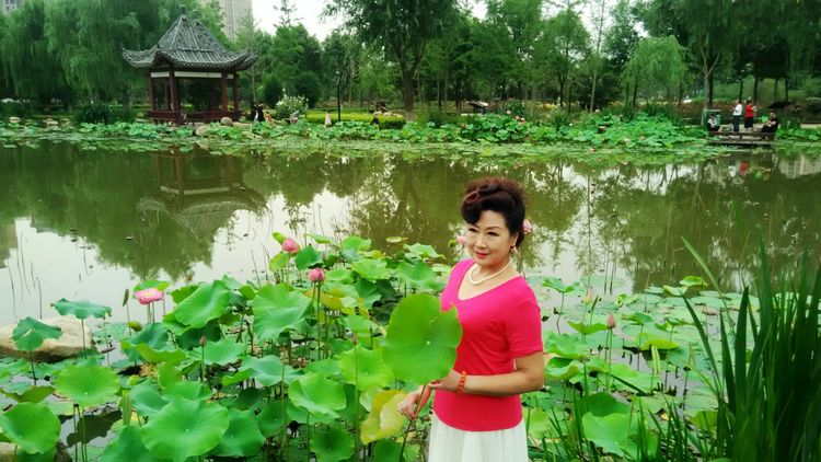 熏风软步访鸥沙（图71）