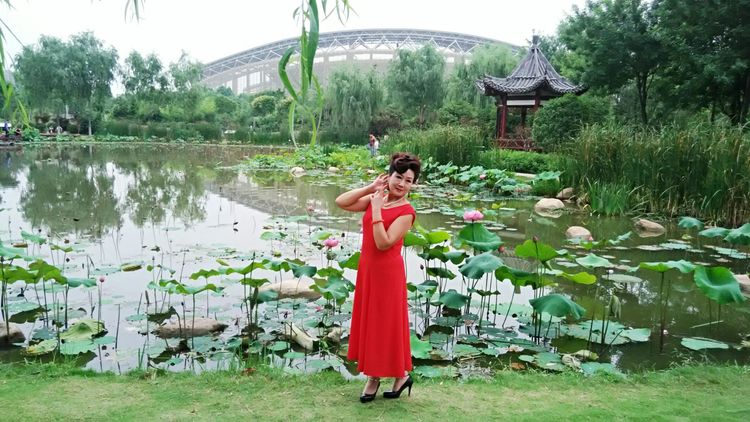 熏风软步访鸥沙（图97）