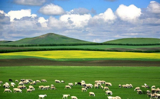 1530173790418016171.jpg 09b679b7-c9d9-40b4-8887-f588125bbf28.jpg