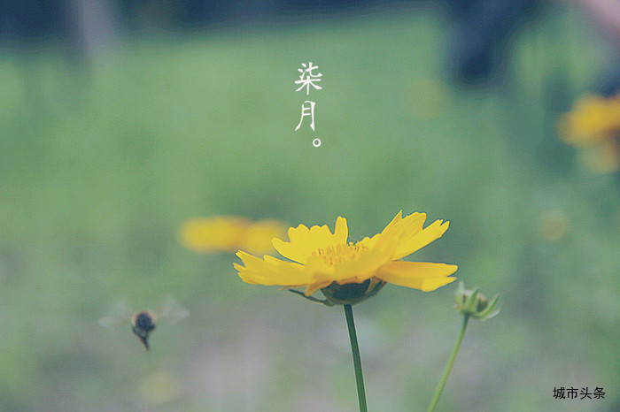 a22636241_s.jpg
