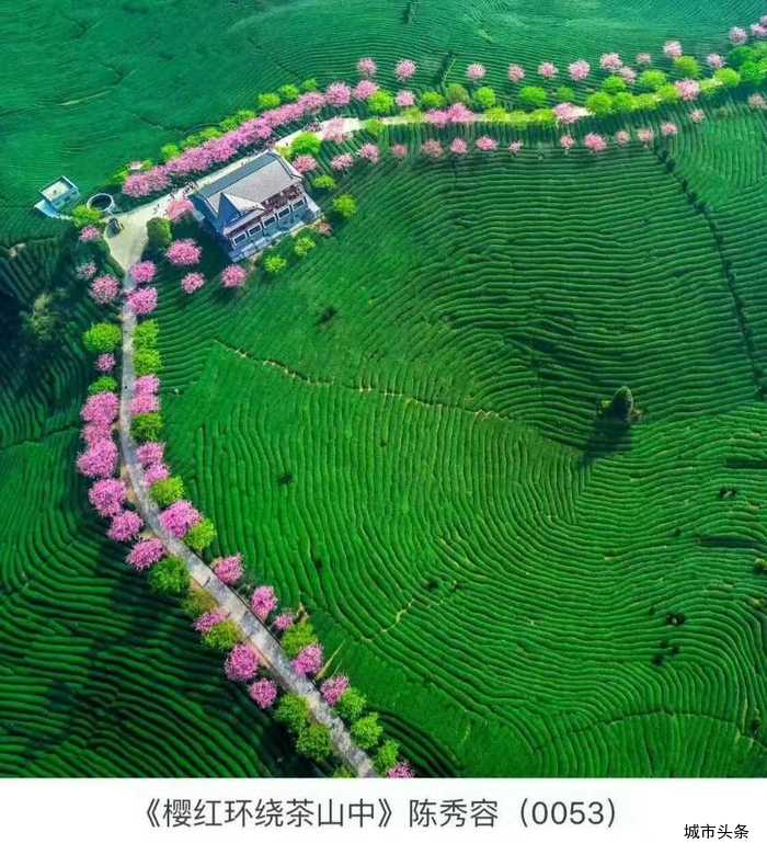 寰俊鍥剧墖_20180714093538.jpg