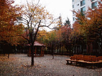 t01904eb8ad0efef5e4.gif