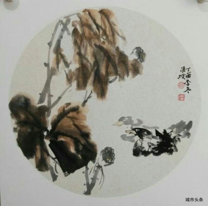 1536160703971050357.jpg