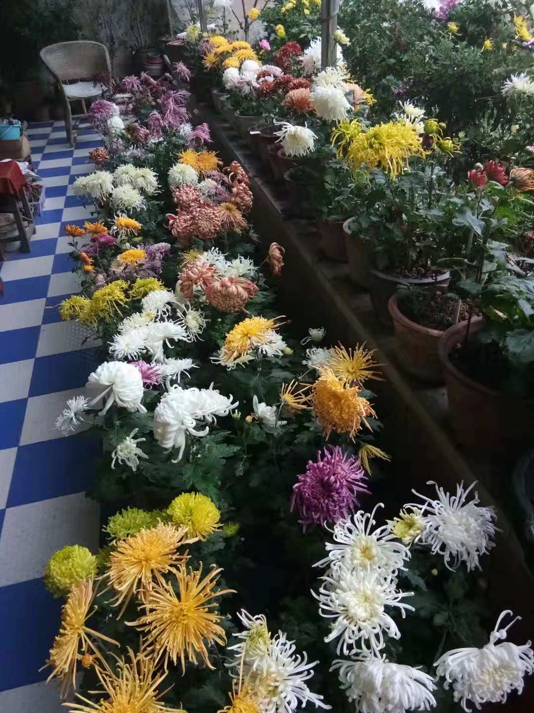 1542897942650057166.jpg 寰俊鍥剧墖_20181122224533.jpg