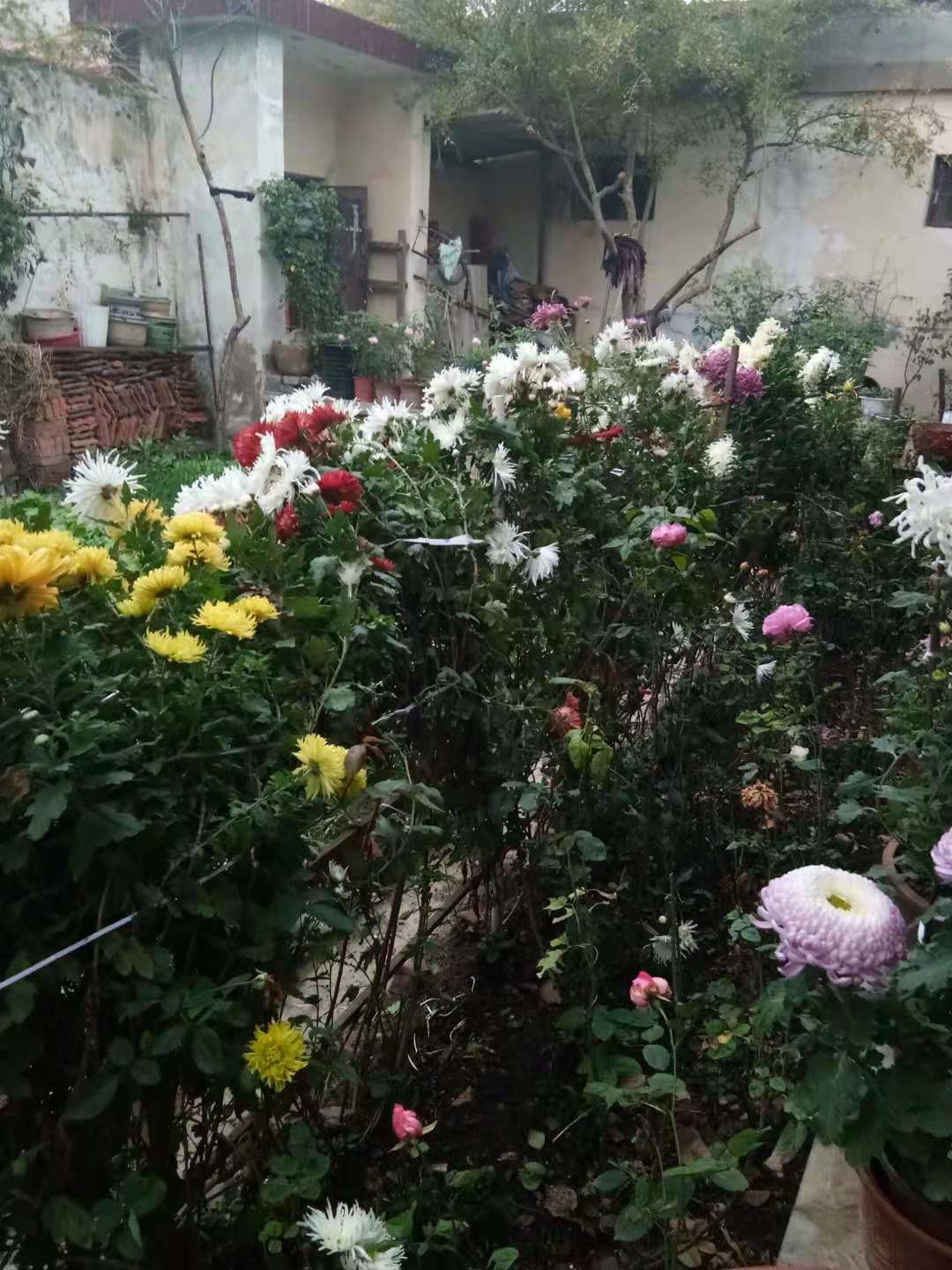 1542898027493003571.jpg 寰俊鍥剧墖_20181122224511.jpg
