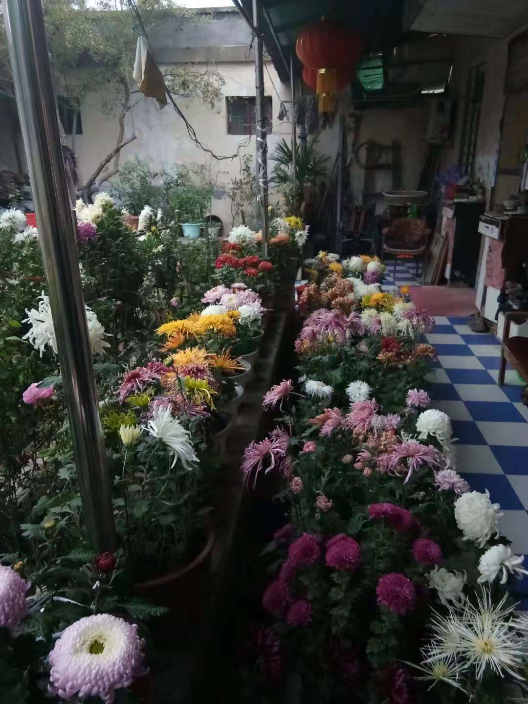 1542898054301042188.jpg 寰俊鍥剧墖_20181122224520.jpg