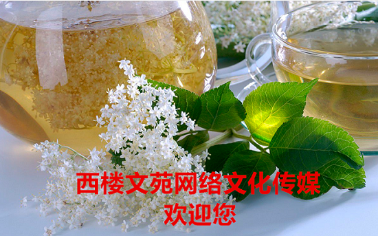 1548641606663034865.png image.png