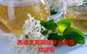 1548936832746070946.png image.png