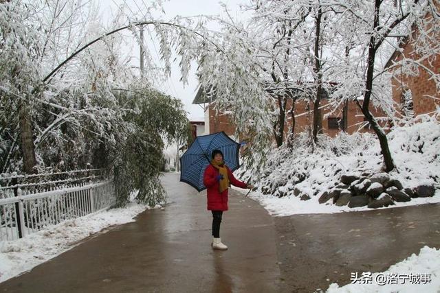 洛宁雷志远——来我们豫西山区景阳镇郭庄村来看雪吧(图3)
