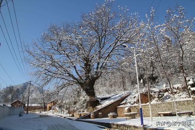 洛宁雷志远——来我们豫西山区景阳镇郭庄村来看雪吧(图5)