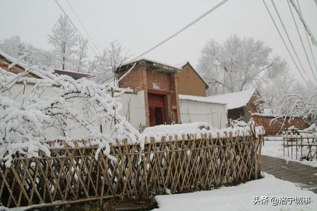 洛宁雷志远——来我们豫西山区景阳镇郭庄村来看雪吧(图11)