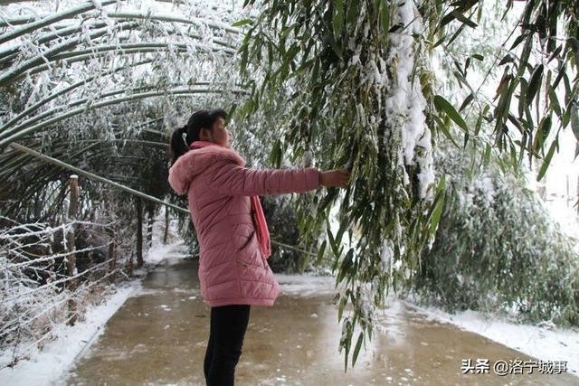 洛宁雷志远——来我们豫西山区景阳镇郭庄村来看雪吧(图14)