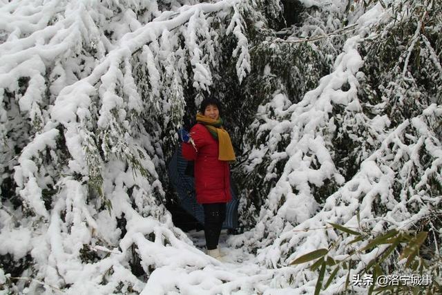 洛宁雷志远——来我们豫西山区景阳镇郭庄村来看雪吧(图15)