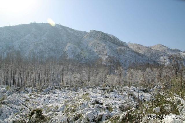 洛宁雷志远——来我们豫西山区景阳镇郭庄村来看雪吧(图20)