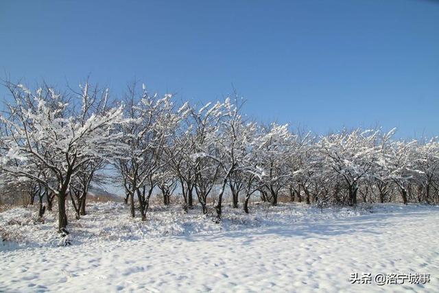 洛宁雷志远——来我们豫西山区景阳镇郭庄村来看雪吧(图22)