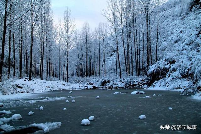 洛宁雷志远——来我们豫西山区景阳镇郭庄村来看雪吧(图24)