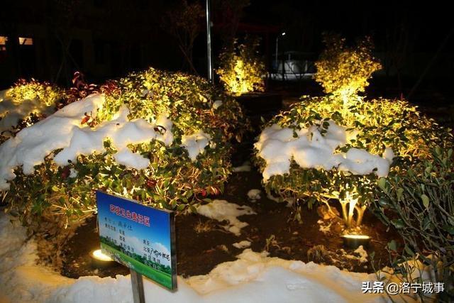 洛宁雷志远——来我们豫西山区景阳镇郭庄村来看雪吧(图27)