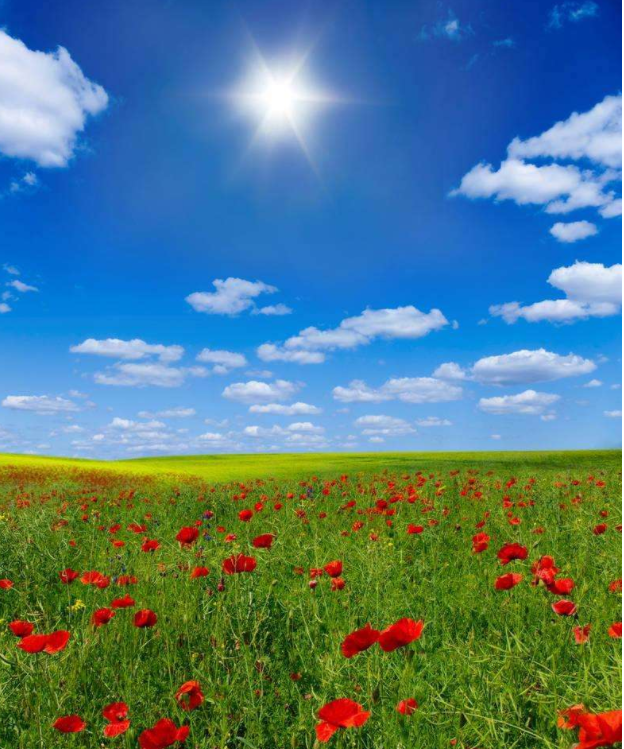 1550883967749033328.png image.png