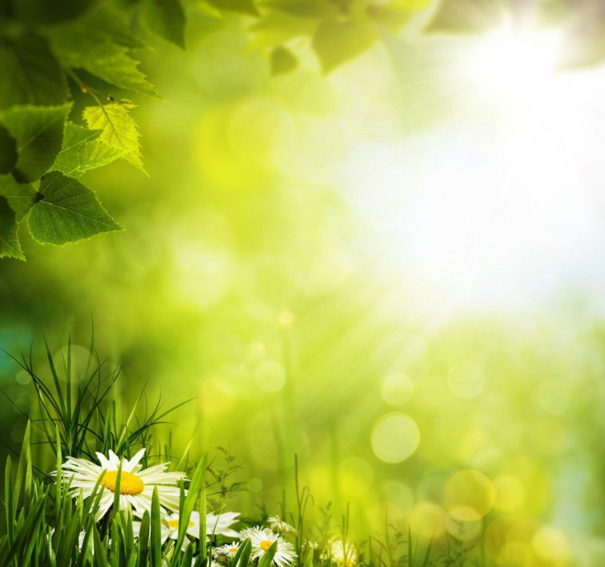 1551090367651071315.png image.png