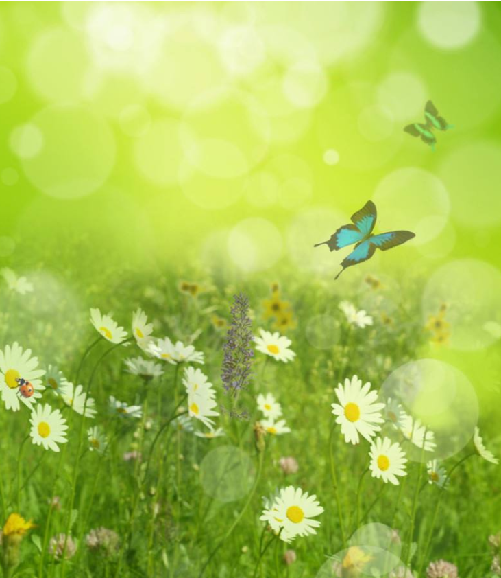 1551163689948057615.png image.png