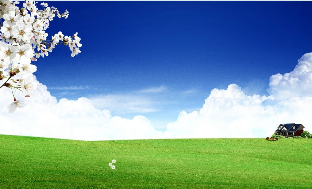 1551321794315057730.png image.png