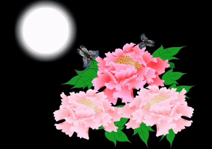 共度花好月圆