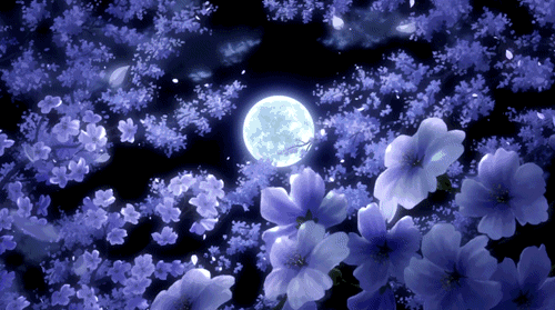 共度花好月圆（图4）