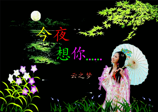 想你的夜晚