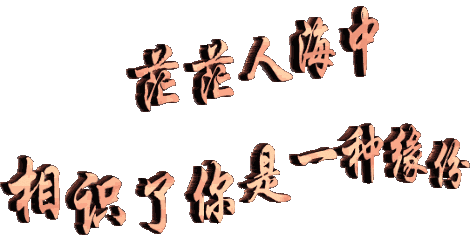 幸福在哪里(图4)